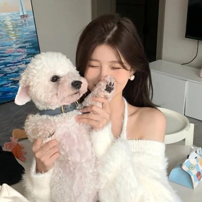 带轮子的家第四季